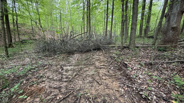 0 Fiscus Cemetery Road, Coal City, IN 47427