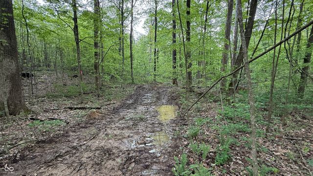 0 Fiscus Cemetery Road, Coal City, IN 47427