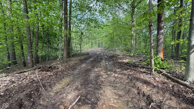 0 Fiscus Cemetery Road, Coal City, IN 47427