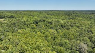 0 Fiscus Cemetery Road, Coal City, IN 47427