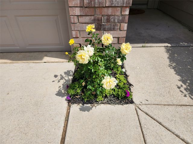 12808 Kingsgate Drive, Rhome, TX 76078