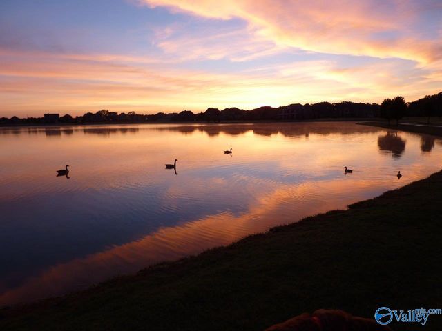 10 Whispering Oaks 21, Huntsville, AL 35824