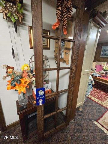 123 Mcmahan Gibbs Road, Roan Mountain, TN 37687