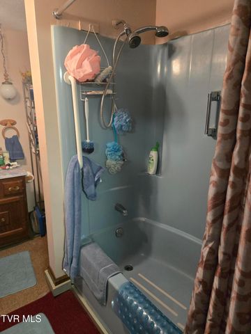 123 Mcmahan Gibbs Road, Roan Mountain, TN 37687