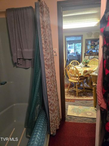 123 Mcmahan Gibbs Road, Roan Mountain, TN 37687