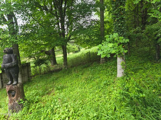 123 Mcmahan Gibbs Road, Roan Mountain, TN 37687