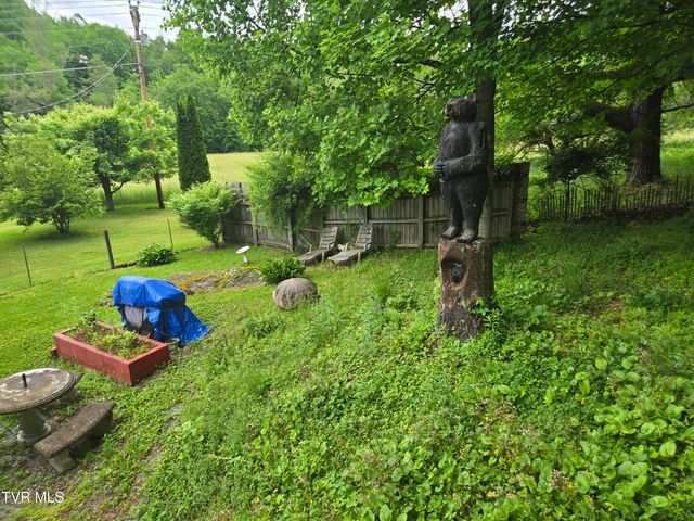 123 Mcmahan Gibbs Road, Roan Mountain, TN 37687