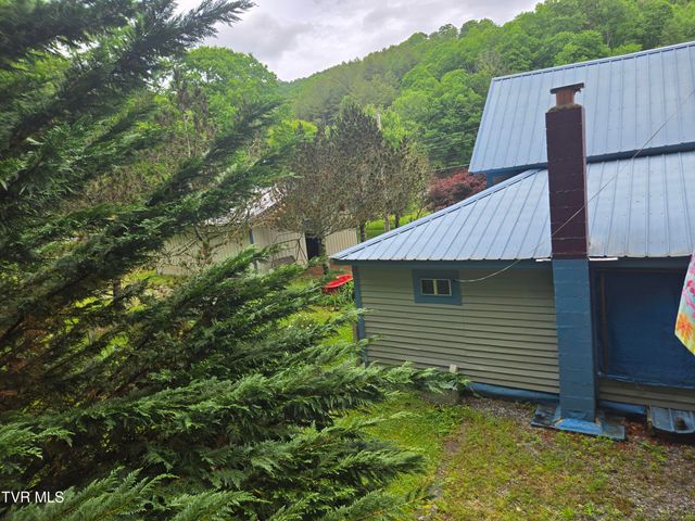 123 Mcmahan Gibbs Road, Roan Mountain, TN 37687
