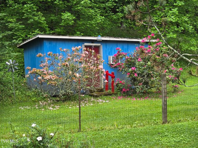 123 Mcmahan Gibbs Road, Roan Mountain, TN 37687