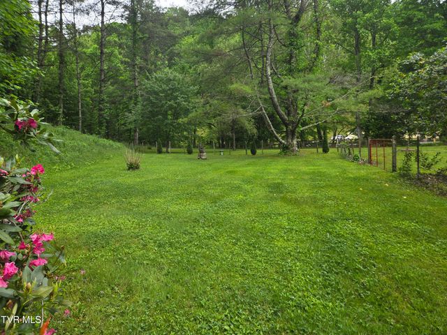 123 Mcmahan Gibbs Road, Roan Mountain, TN 37687