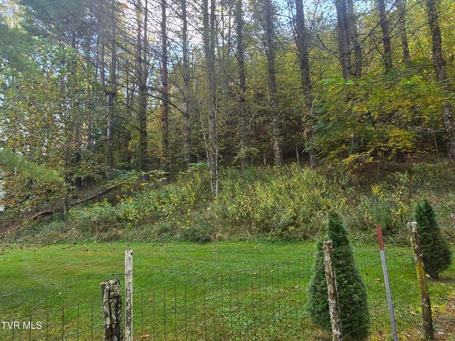 123 Mcmahan Gibbs Road, Roan Mountain, TN 37687