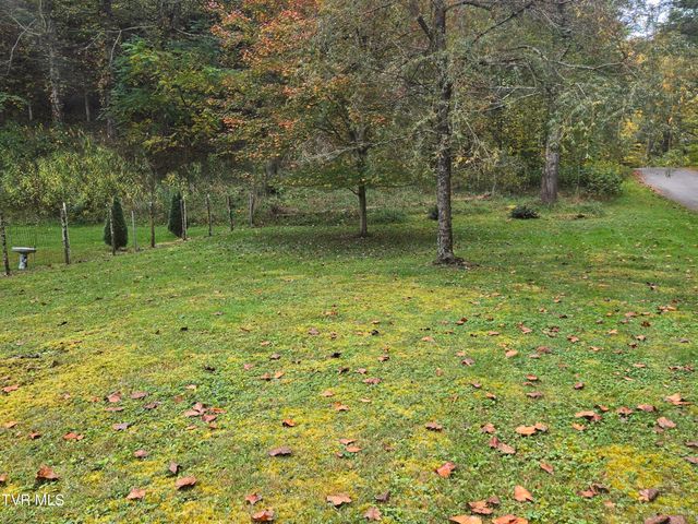 123 Mcmahan Gibbs Road, Roan Mountain, TN 37687