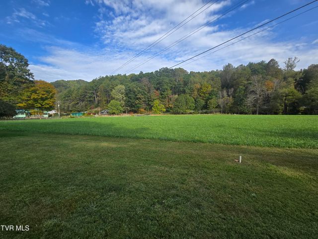 123 Mcmahan Gibbs Road, Roan Mountain, TN 37687