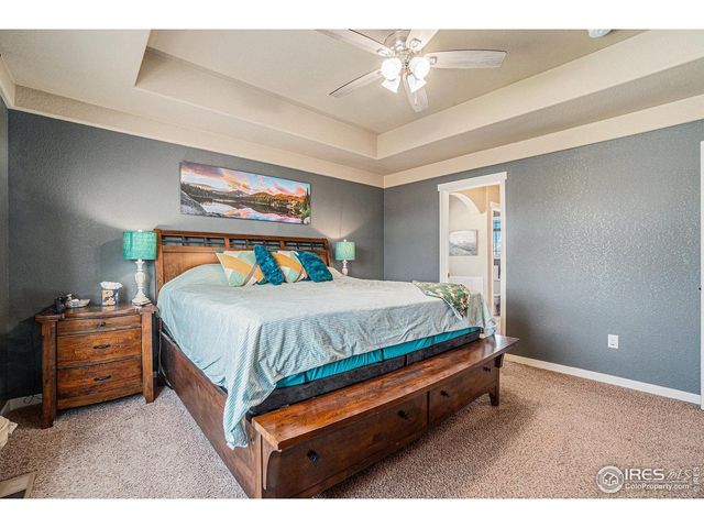 632 Babine Ct, Windsor, CO 80550