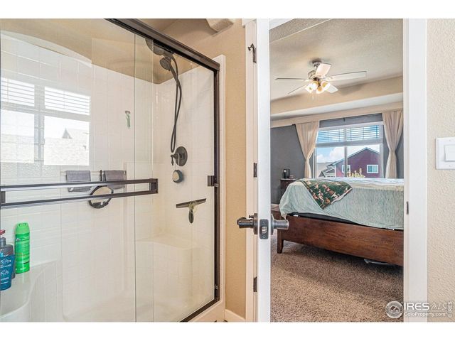 632 Babine Ct, Windsor, CO 80550