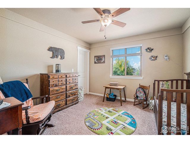 632 Babine Ct, Windsor, CO 80550