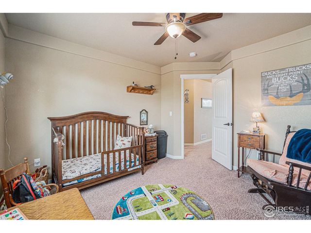 632 Babine Ct, Windsor, CO 80550