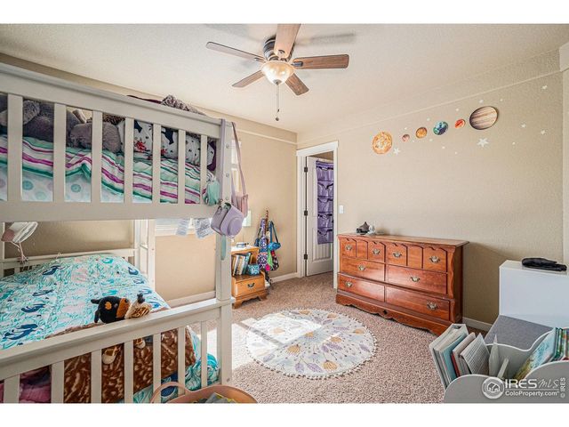 632 Babine Ct, Windsor, CO 80550