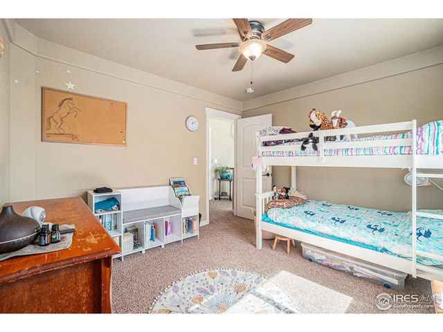 632 Babine Ct, Windsor, CO 80550