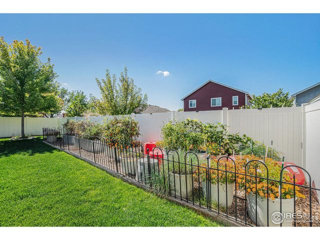 632 Babine Ct, Windsor, CO 80550