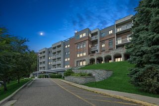311 Pleasant Avenue 501, Saint Paul, MN 55102