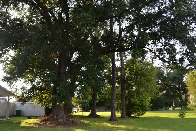 206 West 158th Place, Galliano, LA 70354