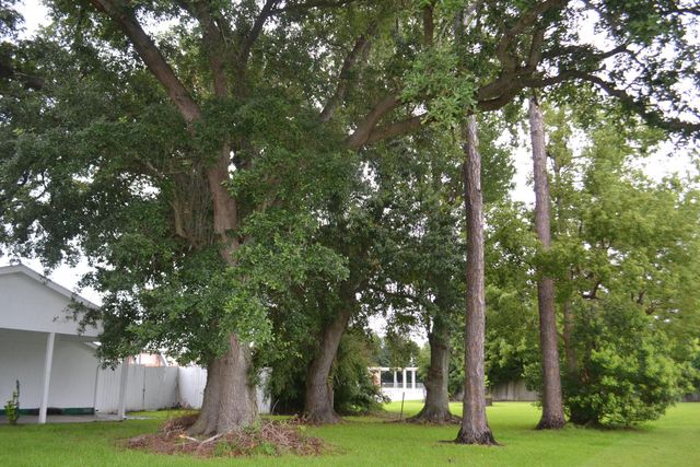 206 West 158th Place, Galliano, LA 70354