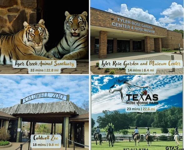 10801 Harvest Wood Dr, Tyler, TX 75703