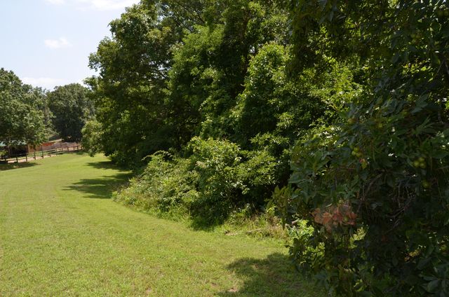 16 Acres Cliffside Drive, Galena, MO 65656