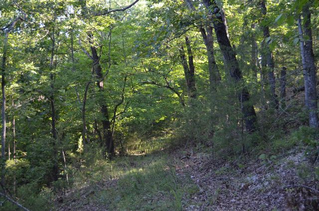 16 Acres Cliffside Drive, Galena, MO 65656