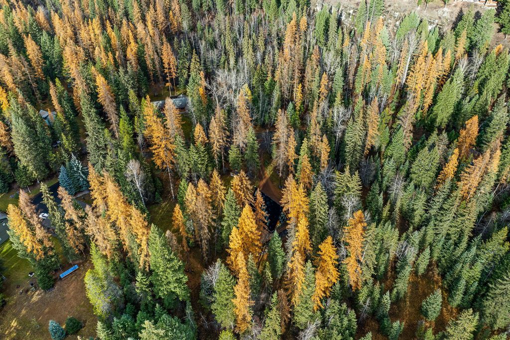 123 Little Mountain Road, Whitefish, MT 59937 photo 65