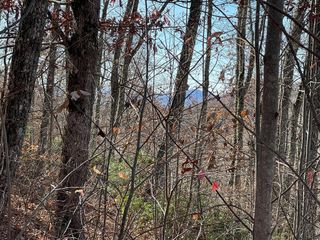 Lots Ash Branch View, NC 28904