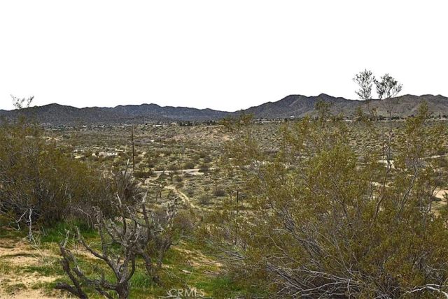 8425 Indio Avenue, Yucca Valley, CA 92284