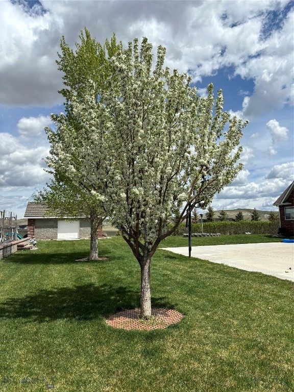 3 Windflower, Three Forks, MT 59752 photo 92