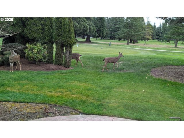 1663 Nw MEDINAH Dr, Mc Minnville, OR 97128