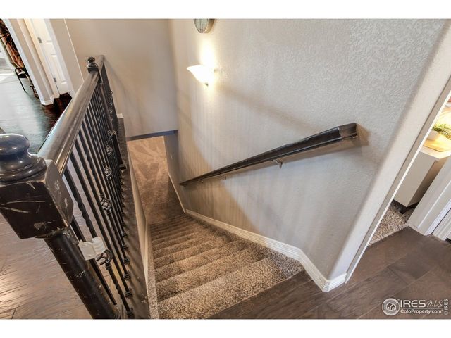 1297 Wild Basin Rd, Severance, CO 80550