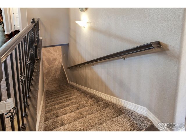 1297 Wild Basin Rd, Severance, CO 80550