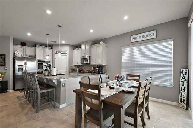 456 WINTER SOLSTICE LANE, Mount Dora, FL 32757