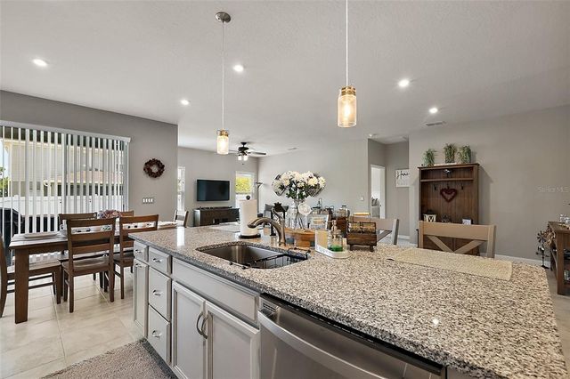 456 WINTER SOLSTICE LANE, Mount Dora, FL 32757