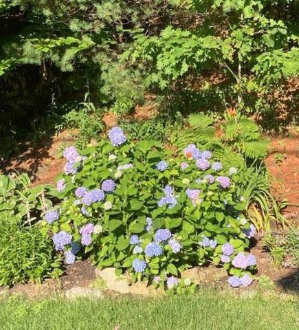 41 Depot Pond Road, Milton, NH 03851