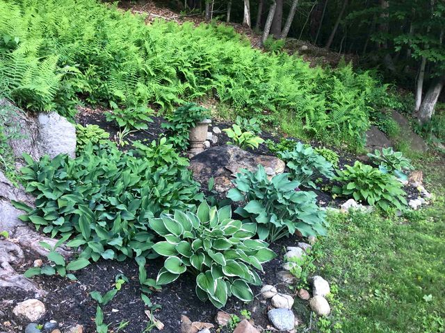 41 Depot Pond Road, Milton, NH 03851