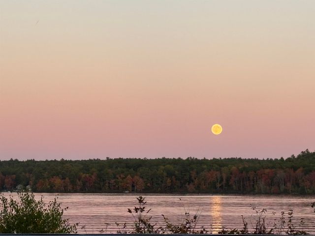 41 Depot Pond Road, Milton, NH 03851