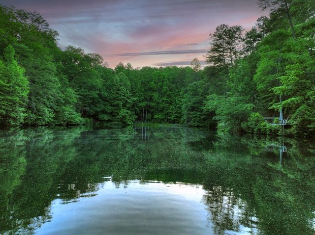 932 Granny Branch Drive, Blue Ridge, GA 30513