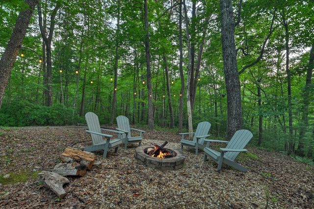 932 Granny Branch Drive, Blue Ridge, GA 30513