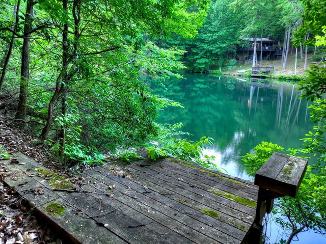 932 Granny Branch Drive, Blue Ridge, GA 30513