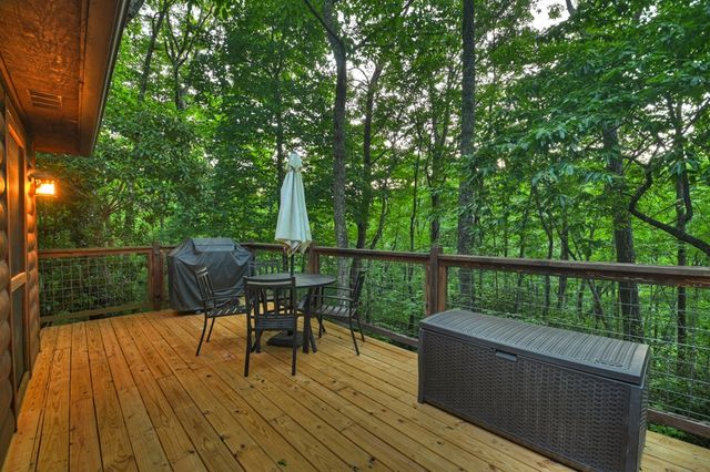 932 Granny Branch Drive, Blue Ridge, GA 30513
