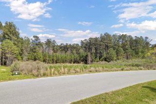 1319 Wood Sorrel Drive, Moncks Corner, SC 29461