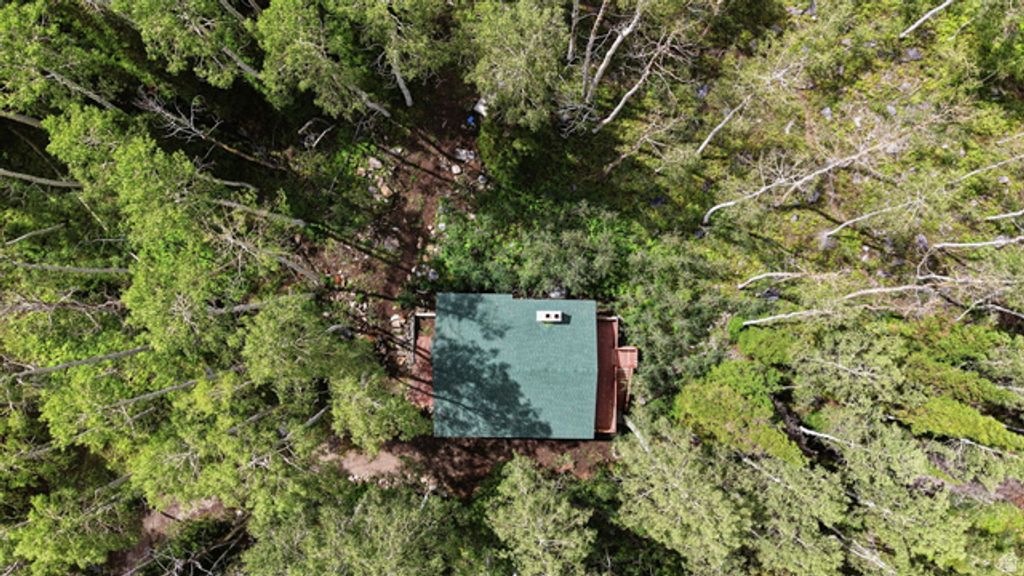 12290 E CAMP TUTTLE RD, Brighton, UT 84121 — photo 4