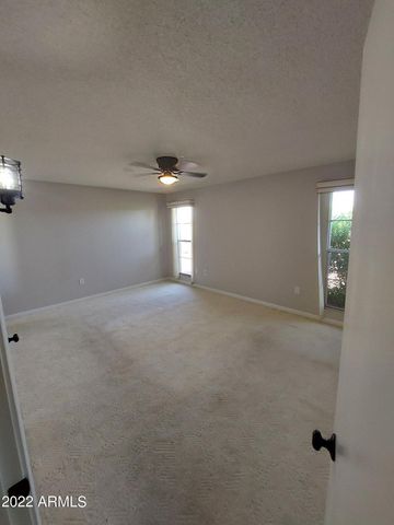 13204 W Hyacinth Drive, Sun City West, AZ 85375