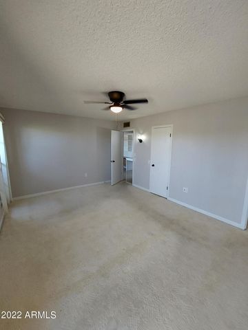 13204 W Hyacinth Drive, Sun City West, AZ 85375